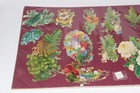 Antique Victorian Die Cut Scrap Large Lot Flower Related Pieces