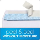 Columbian  10 Security Envelopes  500 Pack  Self Seal 500 Count  White