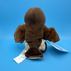 Disney Store The Owl Plush Stuffed Animal Winnie The Pooh Kids Toy Bean Bag Tags