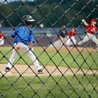 10  10-30ft Heavy Duty Baseball Softball Batting Cage Net Backstop Practice Net