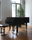 Thickened Grand Piano Cover  Thicken Cotton Lining Baby Piano Cover  Waterpro   