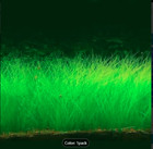 20000  Aquarium Water Grass Seeds Live Aquatic Plants Garden Clearance Seeds