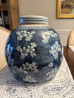 Vintage Chinese Blue   White  Prunus Blossom Ginger Jar With Lid