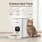 Cat Dog Auto Feeder Pet Food Automatic Feeding Dish Bowl Pet Automatic Bowl