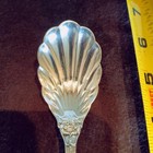 Reed   Barton Francis I Sterling Silver Sugar Shell Spoon 43 Grams   6-1 4  Long