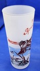 4 Michigan Sportsman Paradise Frosted Highball Tumbler Muskie Deer Pheasantduck 