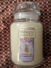 Lot Of Seven Yankee Candle 22 Oz Candles  Great Variety  Several Holiday Scents