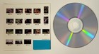 Royalty Free Stock Photos Nature Animals Birds Cd 54 Images Diamar Portfolios