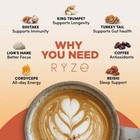  pack Of 4  Organic Usda Ryze Mushroom Coffee   30 Servings -free Shipping
