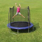 8  Round Trampoline With Safety Enclosure Extra-thick Spring Pad Blue