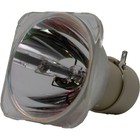 Al    Series Lamp  bulb Only  For The Benq Mx711 Projector - 90 Day Warranty