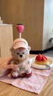 New 2026 Starbucks Bearista Bear Cup Tumblers Strawberry Topper Baseball Cap