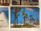 Lot 167 Vintage Florida Sun Coast Picture Postcards New Unused 9 Beach Designs