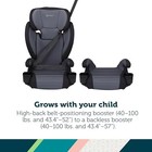 Safety 1st Grow And Go 2-in-1 Booster Car Seat W  Comfortwings  Converts High-ba