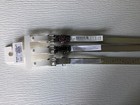 Cat   Jack Girls 3-pack Multicolor Belts Sz Xl  36 Inches  Nwt