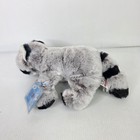 Ganz Webkinz Hm143 Gray Raccoon Stuffed Animal Plush Toy With Code 