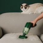 Pet Cleaning Supplies Dog And Cat Hair Suction Vacuum