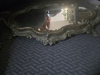 Antique French Mirrored Plateau Tray Rococo Revival