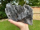 Texas Petrified Fossil Wood Free Standing 10  Log Wedge Display Piece Some Druzy