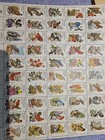 1981 Usps Complete Sheet Of 50 State Birds And Flowers Stamps In Mint Condition