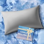 Cooling Pillow Case Size Pillow Cover With Zipper For Hot Standard Dark Gray