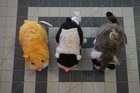Lot Of 3 Zhu Zhu Pets Hamster  Tested   Working