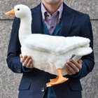 Hansa White Goose Stuffed Animal 3709