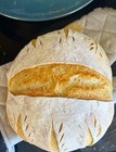 Free Shipping Sourdough Starter Verified Live Boston - 221yr Old Top Seller 