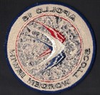 Apollo 15 Lion Brothers Vintage Original Nasa Hallmarked Cloth Back Space Patch