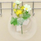 Wall Hanging Hydroponic Transparent Glass Vase Terrarium Fish Tanks Potted Plant