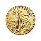 1 10 Oz American Gold Eagle Coin  random Year 
