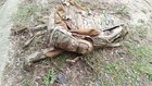 Tyr Tactical Huron Assaulter s Sustainment Pack Cag Sof Multicam Sunsnow Replica