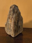 Petrified Wood Approximately 3 In Tall