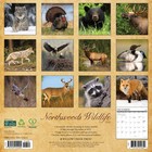 Northwoods Wildlife 2026 12  X 12  Wall Calendar  free Shipping 