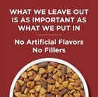 Purina Dog Chow Complete Adult Dry Dog Food  Beef Flavor Kibble  44 Lb Bag