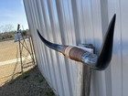 Mounted Steer Horns  3 Feet Longhorn Polished Mount Bull Cow
