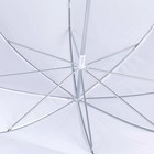 Neewer 33  83cm Studio Flash Translucent White Soft Umbrella