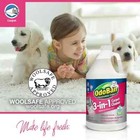 1 Gal  3-in-1 Carpet Cleaner  Concentrated Carpet Cleaning Solution  Epa Safer C