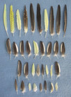 Mixed Lot Of Naturally Molted Bird Feathers  total Of 87 Feathers 