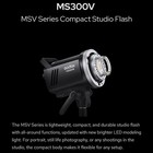 Ms300v Strobe Light Kit  300w Studio Strobe Light  2 4g Wireless System  Recy   