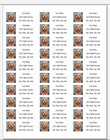 150 Labradoodle Puppy Brown Mailing Return Address Labels Personalized