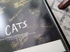 Vintage Cats The Musical Poster Framed Autographed Signed By Cast Broadway Play 