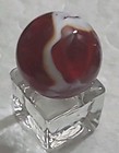Amazing 7 8  Marble Red Base W lovely White  Flower Unknown Maker Mint