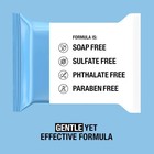 Neutrogena Makeup Remover Wipes  Ultra-soft Cleansing Facial Towelettes 2 Packs