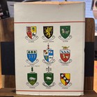 Irish Families Maclysaght 1972 Hc Dj Fold-out Map Coat Arms Genealogy