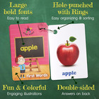 Toddler Flash Cards Set Of 4     Numbers  First Words  Colors   Shapes  Alphabet W