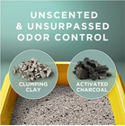 2 Pack Purina Tidy Cats Free   Clean Unscented Cat Litter  Low Dust  35 Lb  Pail