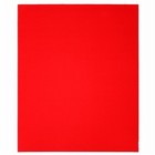 Diablo 9 In  L X 11 In  W 120 Grit Aluminum Oxide Sanding Sheet 20 Pk