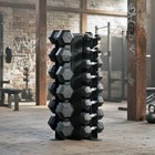 Body-solid 5-50 Lb  Vertical Dumbbell Rack