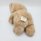 Vintage Commonwealth Tan Teddy Bear Plush Stuffed Animal 10  Hard Eyes 1989